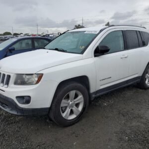 Vehicle VIN 1C4NJDBB9GD662302