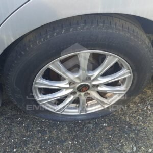 Vehicle VIN 6T1BF9FK0FX566227