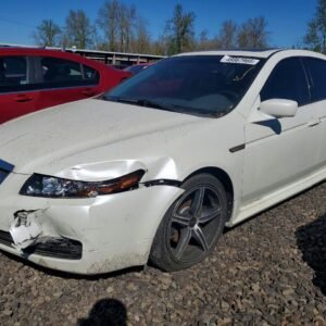 Vehicle VIN 19UUA66255A041818