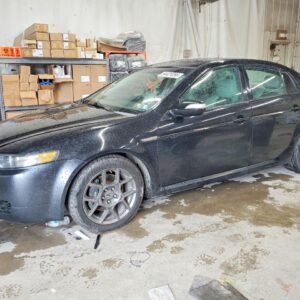 Vehicle VIN 19UUA76527A038135
