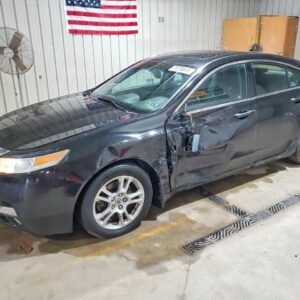 Vehicle VIN 19UUA86539A009364