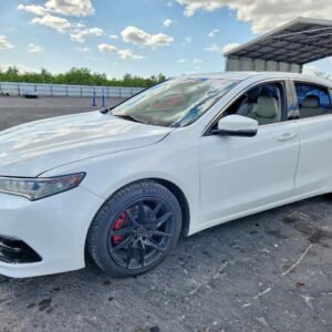 Vehicle VIN 19UUB1F35FA028769