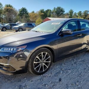 Vehicle VIN 19UUB2F56FA002706