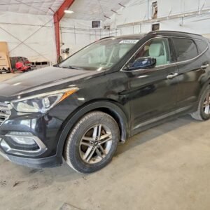 Vehicle VIN 5NMZUDLB2HH006796