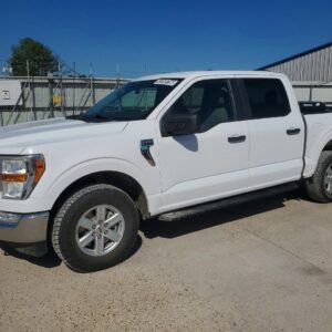 Vehicle VIN 1FTEW1EB1MKF05334