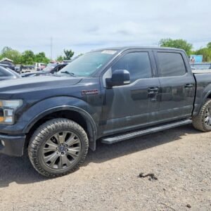Vehicle VIN 1FTEW1EF3GFC49942