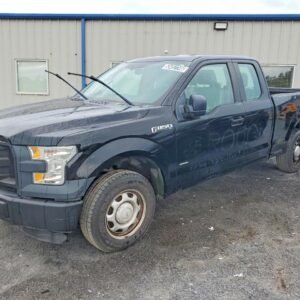 Vehicle VIN 1FTEX1CP6GFC60720