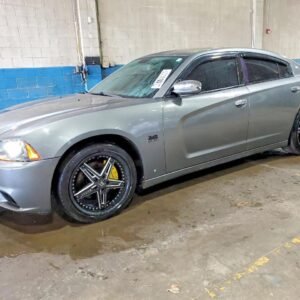 Vehicle VIN 2C3CDXCT8CH301815