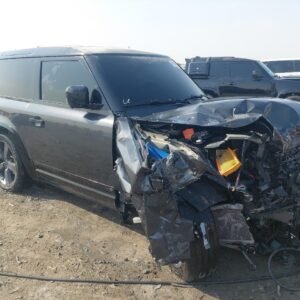 Vehicle VIN SALEA6BE9P2169200
