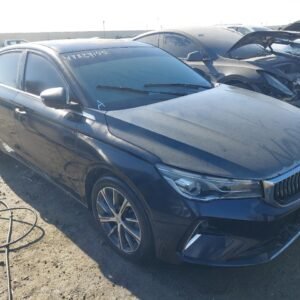 Vehicle VIN LB3F31S24RG019781