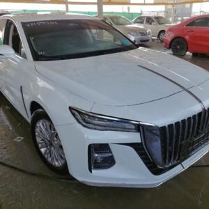 Vehicle VIN LFPH4ACP5P2A19134